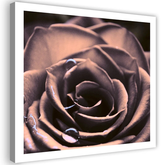 Canvas Print Rose Flower Plant