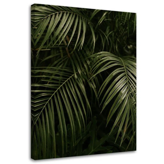 Canvas Print Monstera Palm Leaves Botanical