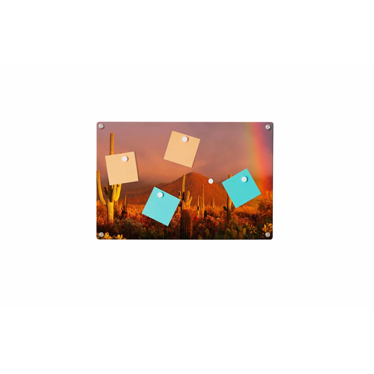 Desert Cactus Magnetic Wall Mounted Photo Memo Board