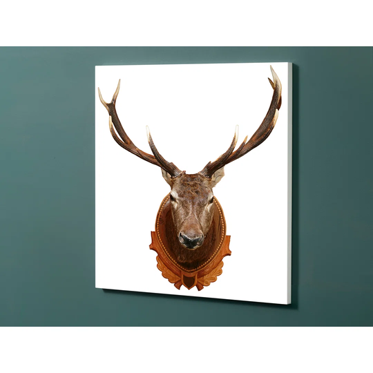 Notiz Motive Deer Magnetic Wall Mounted Cork Board