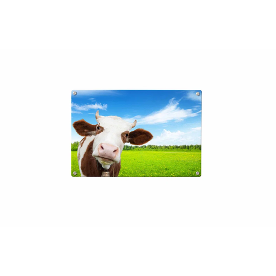 Cow Magnetic Wall Mounted Photo Memo Board
