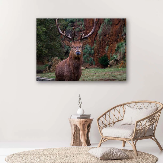 Canvas Print Deer In The Forest Nature Animals