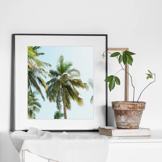 Tropical Palm Trees - Picture Frame Photograph Print on Paper