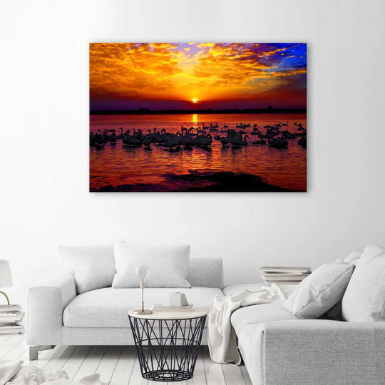 Canvas Print Swans Sunset