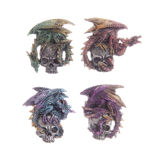 Gothic Dragon Skull Magnet - Set of 4
