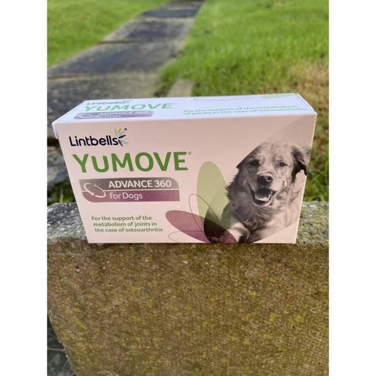 (60 Tablets) Lintbells YuMove Advance 360 Dogs Tablets Mobility