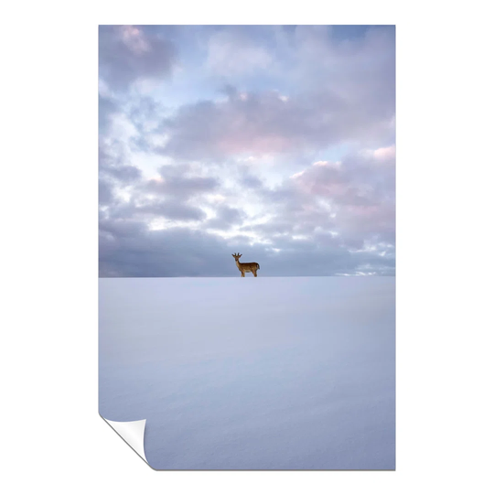 Panther Print Fine Art Prints Alone Deer In Winter & Sea Of Clouds Artistic Unframed Poster, Pictures For Home Walls, Bedroom, Living Room & Bathroom