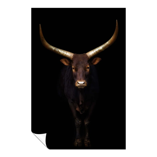 Panther Print Fine Art Prints Ankole Watusi Cattle With Golden Horns Artistic Unframed Poster, Pictures For Home Walls, Bedroom, Living Room & Bathroo