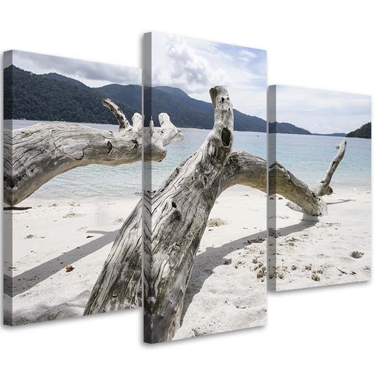 Canvas Print Tree Branch Sea Beach Mountains