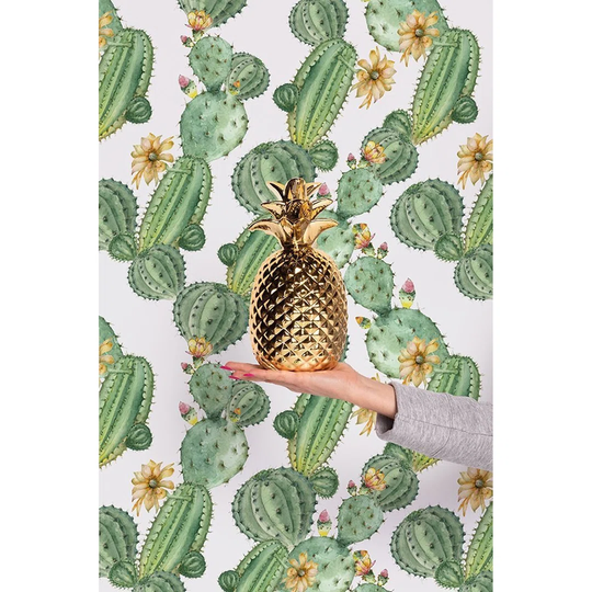 Langmann Cactiflowers Wallpaper