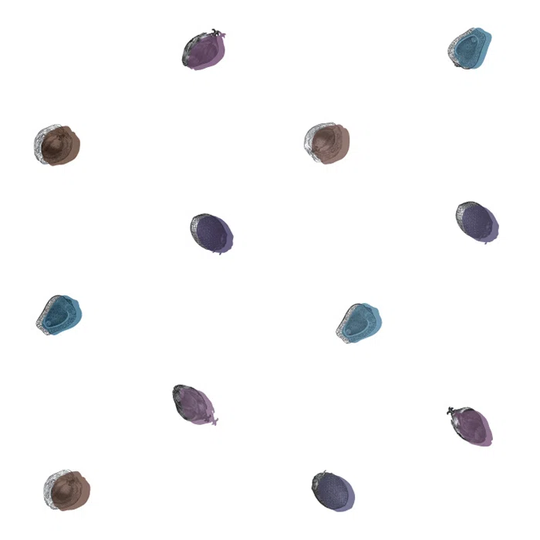 Jotyi 3.6m x 2.5m Matte Wallpaper Roll