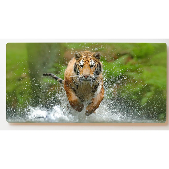 Backlight Motif Wall Picture Tiger Magnetic Cork Board