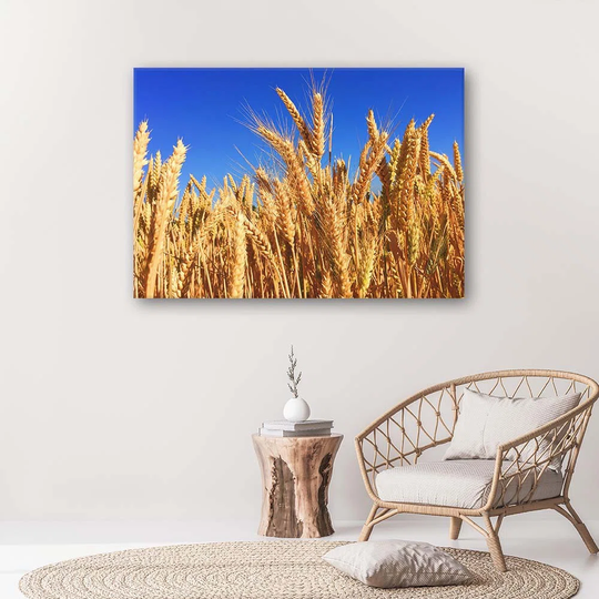 Canvas Print Ear Harvest Nature Gold