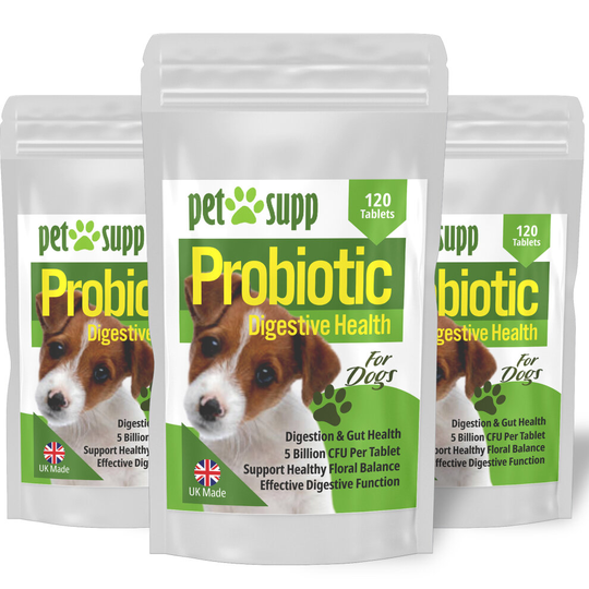 Probiotic for Dogs, Re-Sealable Bag, Digestive Support, 120 Tablets