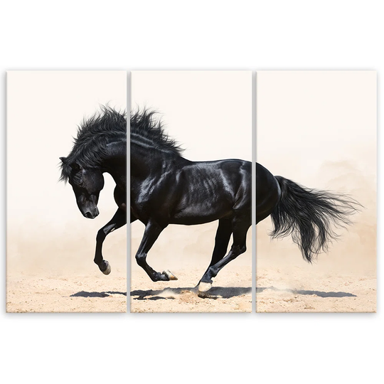 Canvas Print Gallop Of The Black Horse