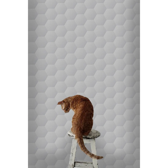 Walllpaper Roll 416X254cm Mural Decoration Kitchen Livingroom Bedroom Wallpaper Material With Print - Dented Hexagons