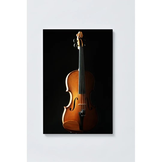 Cello Magnetic Wall Mounted Cork Board