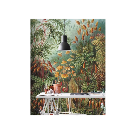 Hyeres Wallpaper