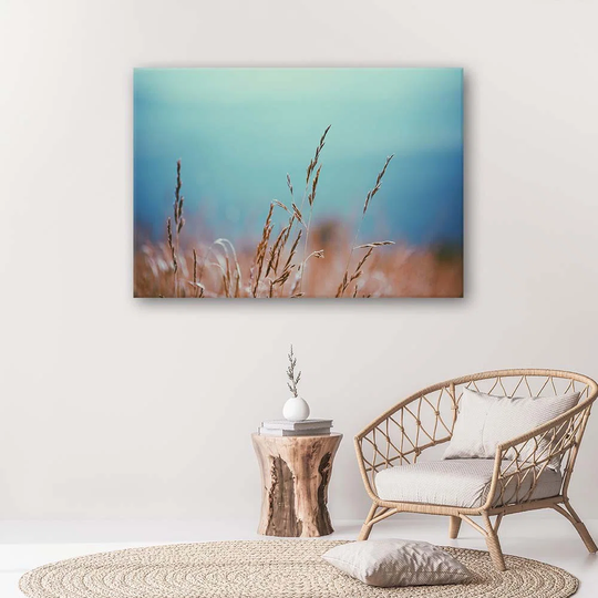 Canvas Print Grass Nature Plantsturquoise