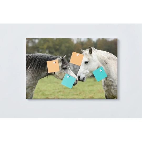Horses Magnetic Wall Mounted Cork Board