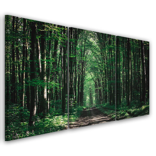 Canvas Print Forest Green Nature