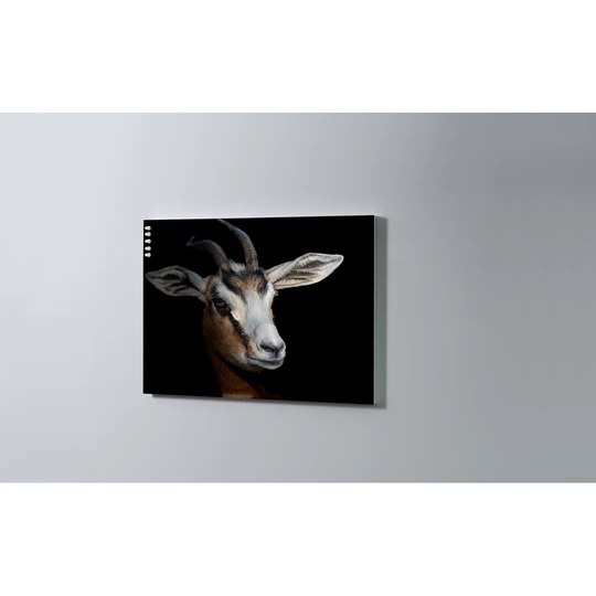 Gazelle Magnetic Wall Mounted Cork Board