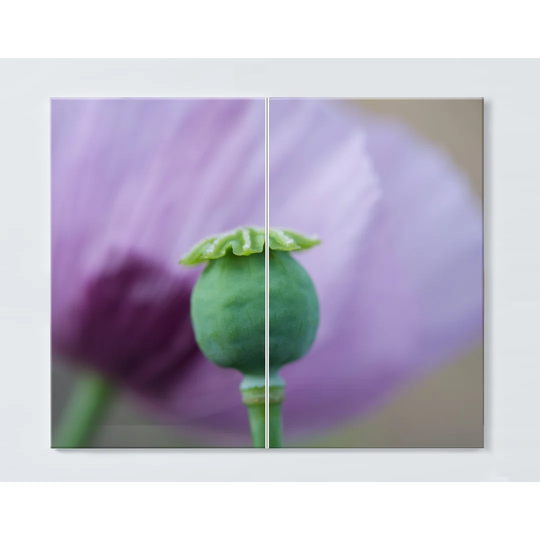 Poppy Magnetic Magnetic Wall Mounted Cork Board
