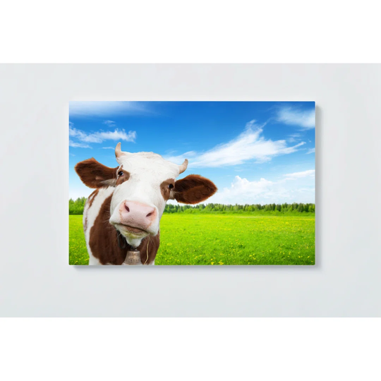 Cow Motif Magnetic Wall Mounted Cork Board