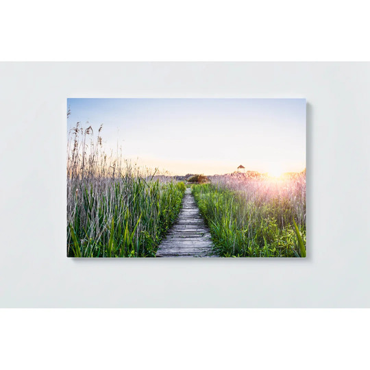 Mountain Path Magnetic Wall Mounted Cork Board
