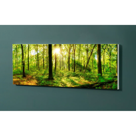 Notiz Motive Forest Magnetic Wall Mounted Cork Board