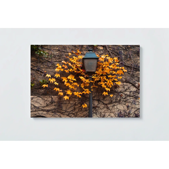 Lantern Motif Magnetic Wall Mounted Cork Board