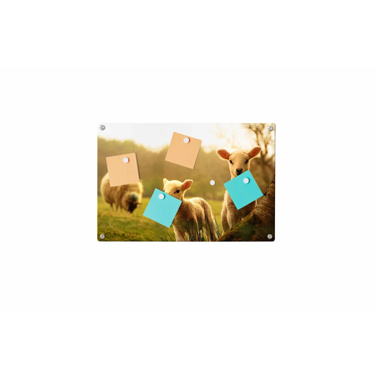 Sheep Magnetic Wall Mounted Photo Memo Board