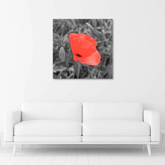 Canvas Print Red Poppy Field