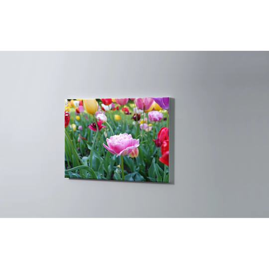 Meadow Flowers Magnetic Wall Mounted Cork Board