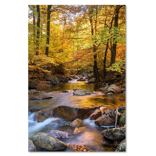 Canvas Print, Orange Landscapes 16371