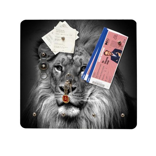 Lwe Magnetic Wall Mounted Board