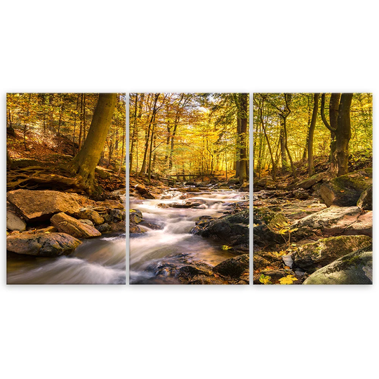 Canvas Print Autumn Forest Mountain Stream