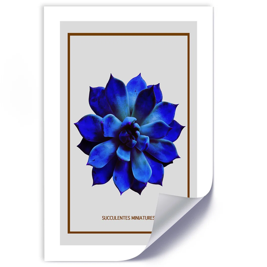 Poster, Succulent Blue Minimalism