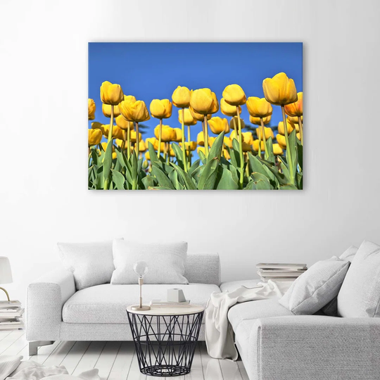 Canvas Print Tulips Flowers Nature