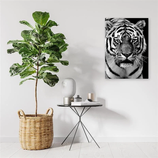 Canvas Print Tiger Africa Black And White
