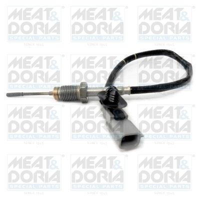 Sensor, exhaust gas temperature 12134