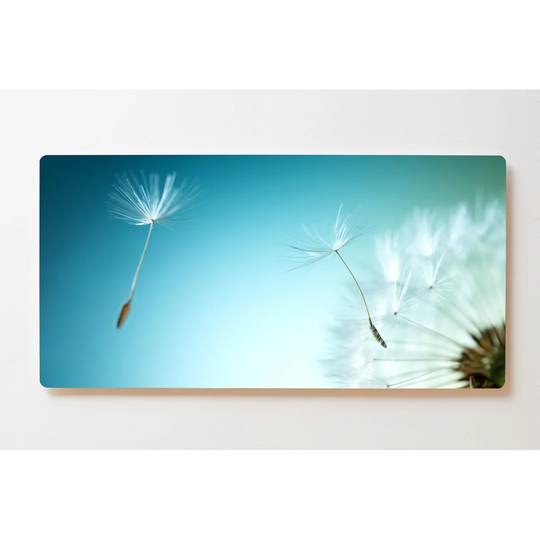 Backlight Motive Wall Picture Dandelion Magnetic Cork Board