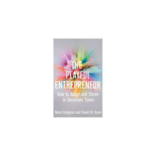 The Playful Entrepreneur: How to Adapt and Thrive in Uncertain Times