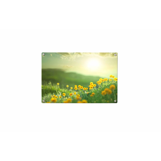 Meadow Sunrise Magnetic Wall Mounted Photo Memo Board