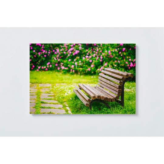 Park Motif Magnetic Wall Mounted Cork Board