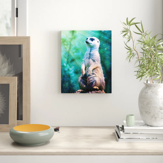 Wildlife Meerkat with Stars - Unframed Graphic Art Print