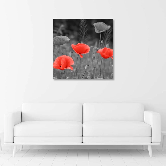Canvas Print Meadow Poppy Nature