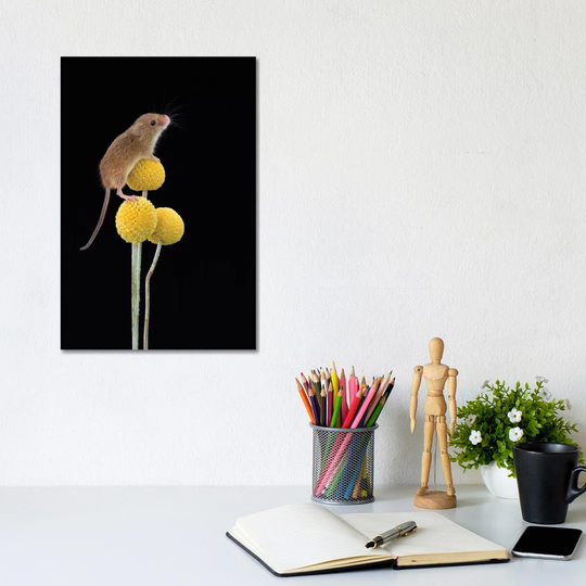 Smile for the Camera Harvest Mouse by Dean Mason - Photograph Print on Canvas