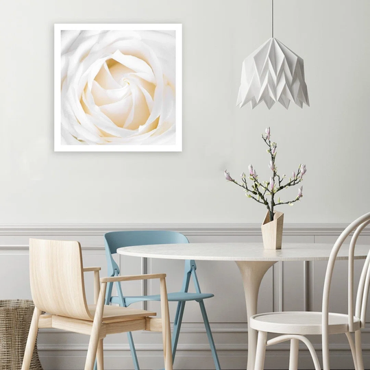Canvas Print Delicate White Rose
