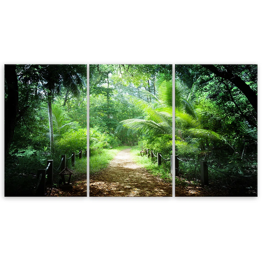 Canvas Print Green Forest Path